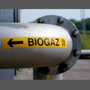 Asense, spécialiste du biogaz