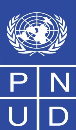 Nations Unies, PNUD