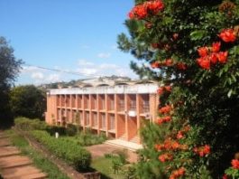 Université d'Antananarivo, l'enseignement supérieur
