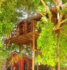 Ecolodge Ravoraha, Cabane dans les arbres