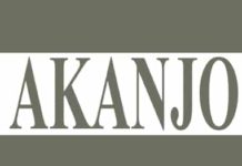 Logo Akanjo