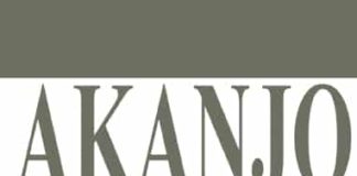 Logo Akanjo