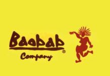 Logo Baobab Company