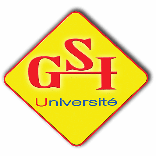 GSI Madagascar, les 7 filières de l'université à Antananarivo