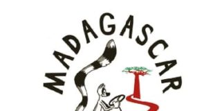 Logo Madagascar Touring