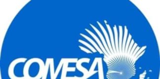 Sommet du Comesa 2016 à Madagascar