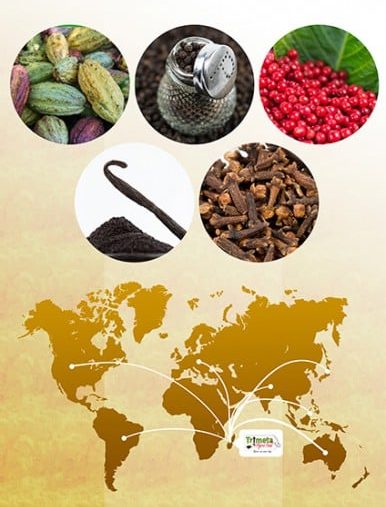 Trimeta Agro Food, exportateur à travers le monde