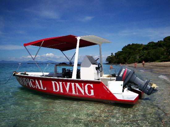 Vedette Tropical Diving