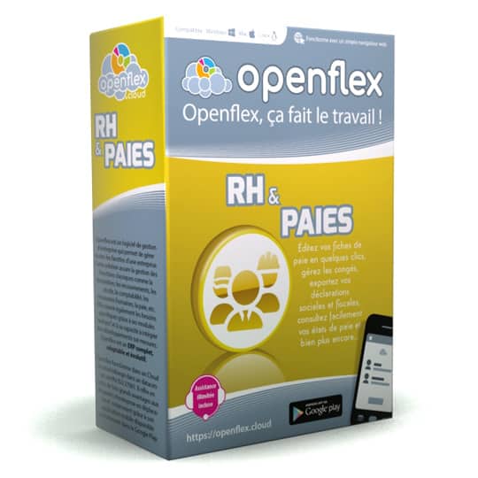Pour une bonne gestion des ressources humaines, optez pour le module RH&Paies Openflex